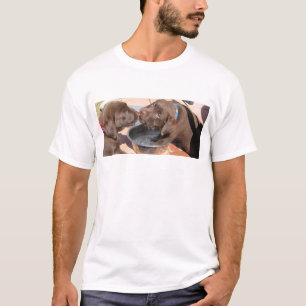 Chocolate Labrador Puppies Play T-Shirt
