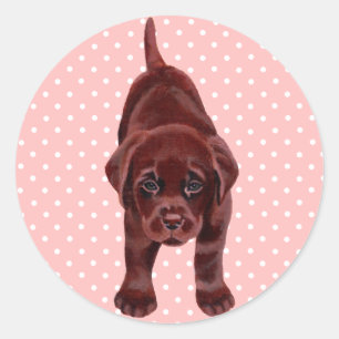 Chocolate Labrador Puppy Classic Round Sticker