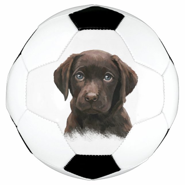 Chocolate Labrador Puppy Football (Front)