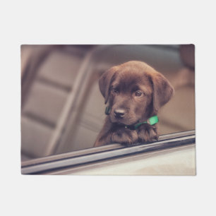 Chocolate Labrador Puppy In Car Doormat