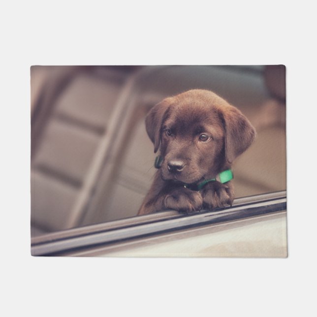 Chocolate Labrador Puppy In Car Doormat (Front)