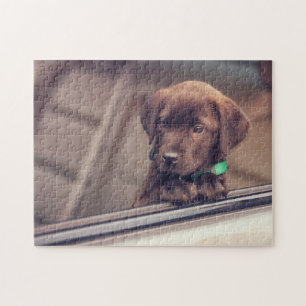Chocolate Labrador Puppy In Car Jigsaw Puzzle