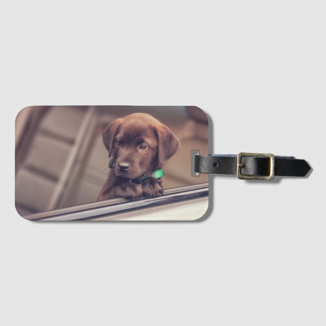 Chocolate Labrador Puppy In Car Luggage Tag (Front Horizontal)
