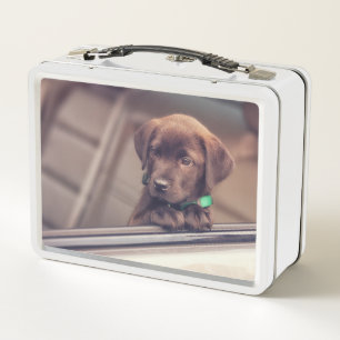 Chocolate Labrador Puppy In Car Metal Lunch Box
