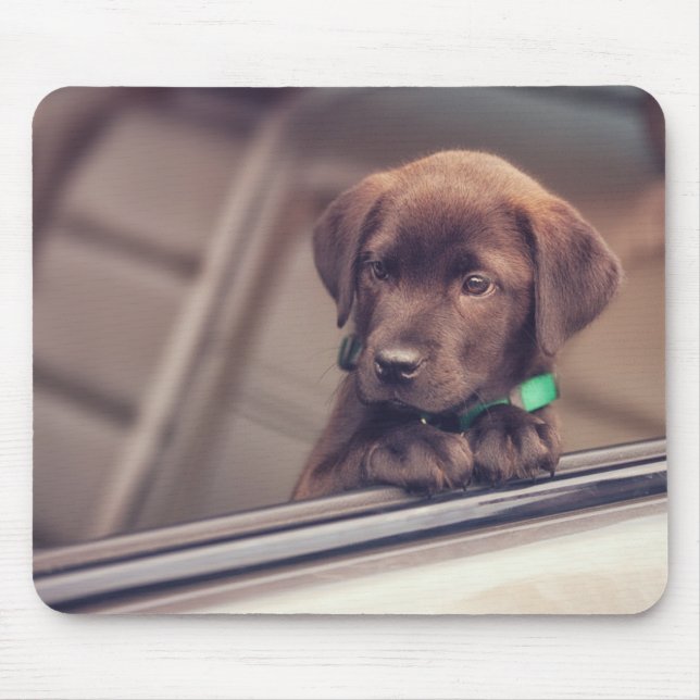 Chocolate Labrador Puppy In Car Mouse Mat (Front)