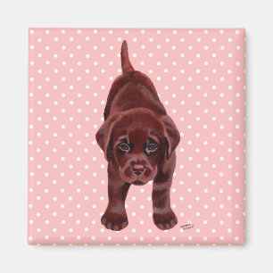 Chocolate Labrador Puppy Magnet