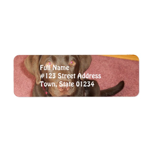 Chocolate Labrador Puppy  Mailing Label (Front)