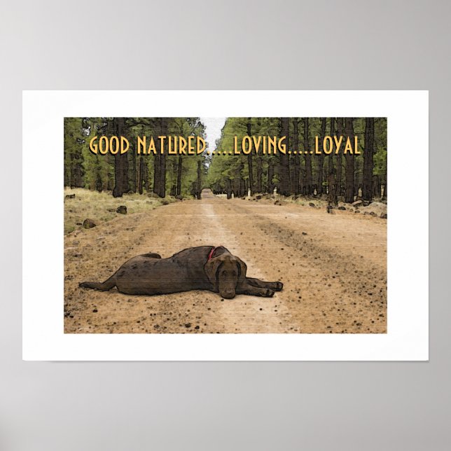 Chocolate Labrador Puppy On Forest Trail Custom Poster (Front)