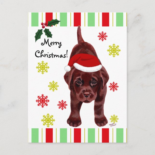 Chocolate Labrador Puppy & Santa Hat Christmas Holiday Postcard (Front)