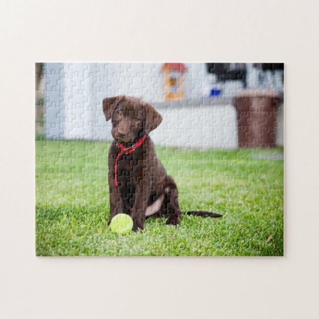Chocolate Labrador Puppy With Tennis Ball Jigsaw Puzzle (Horizontal)