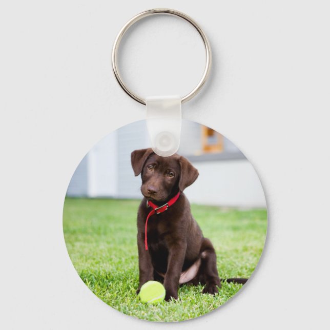 Chocolate Labrador Puppy With Tennis Ball Key Ring (Front)