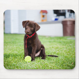 Chocolate Labrador Puppy With Tennis Ball Mouse Mat