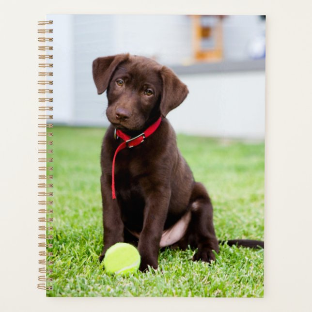 Chocolate Labrador Puppy With Tennis Ball Planner (Front)