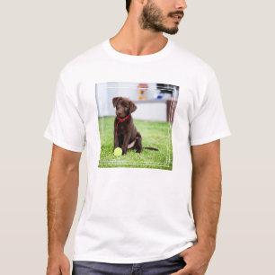 Chocolate Labrador Puppy With Tennis Ball T-Shirt