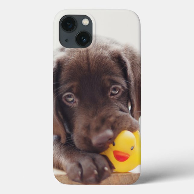 Chocolate Labrador Puppy With Toy Duck Case-Mate iPhone Case (Back)