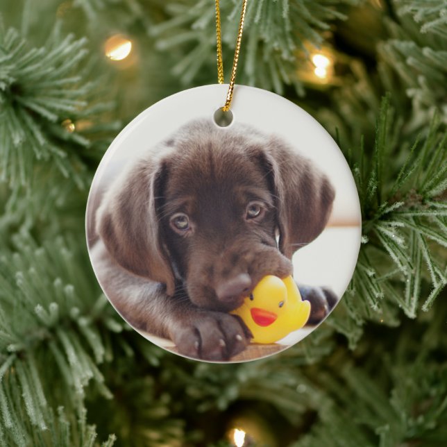 Chocolate Labrador Puppy With Toy Duck Ceramic Tree Decoration (Tree)