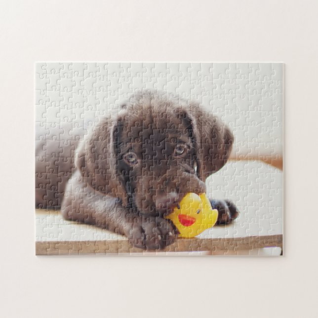 Chocolate Labrador Puppy With Toy Duck Jigsaw Puzzle (Horizontal)