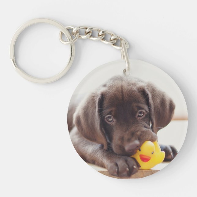 Chocolate Labrador Puppy With Toy Duck Key Ring (Front)