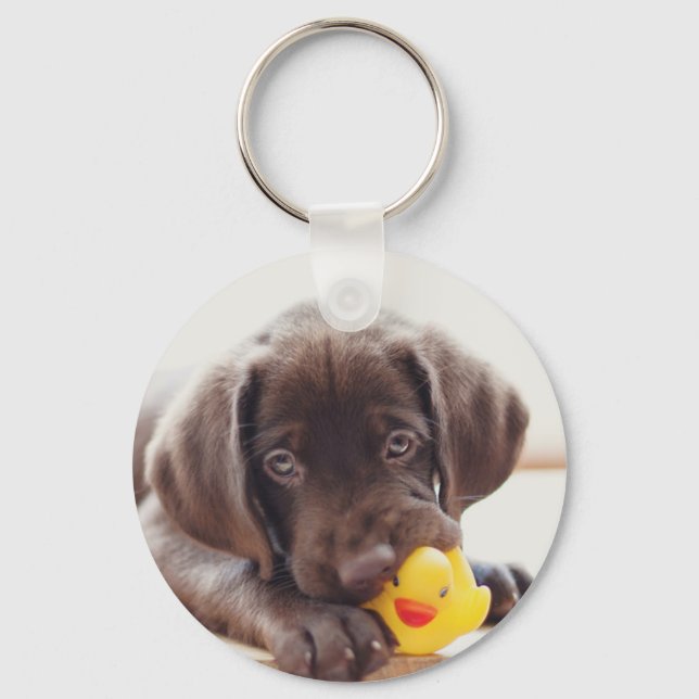 Chocolate Labrador Puppy With Toy Duck Key Ring (Front)