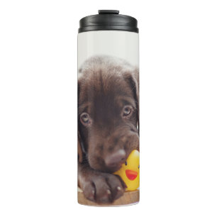 Chocolate Labrador Puppy With Toy Duck Thermal Tumbler