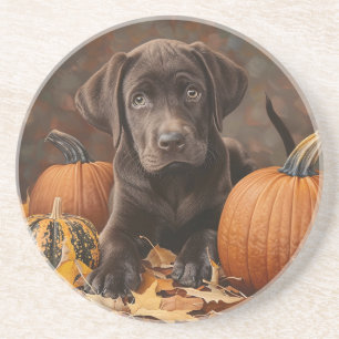 Chocolate Labrador Retriever Autumn Round Coaster