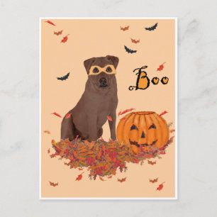 Chocolate Labrador Retriever Boo! Postcard