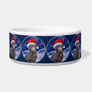 Chocolate Labrador Retriever Christmas 