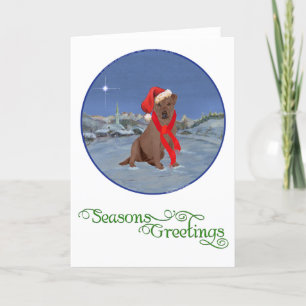 Chocolate Labrador Retriever Christmas Holiday Card