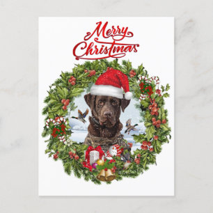 Chocolate Labrador Retriever,  Christmas wreath  Postcard