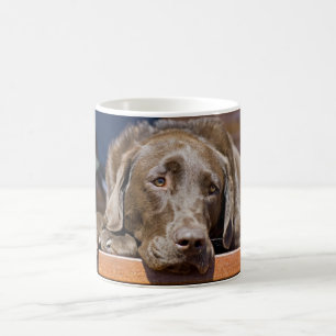 Chocolate Labrador Retriever Close-Up Photo Coffee Mug