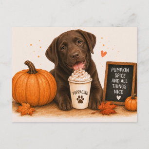 Chocolate Labrador Retriever Cozy Pumpkin Spice Postcard