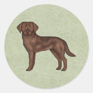 Chocolate Labrador Retriever Cute Lab Dog Green Classic Round Sticker