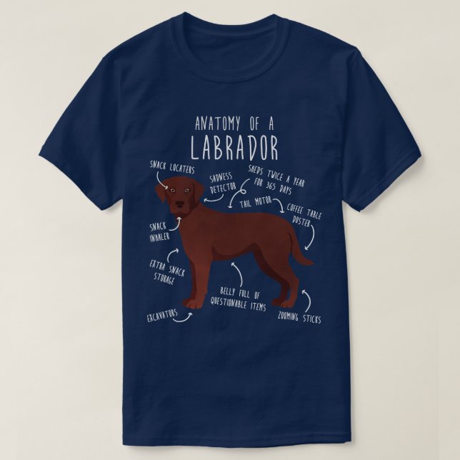 Chocolate Labrador Retriever Dog Anatomy 1 T-Shirt (Design Front)