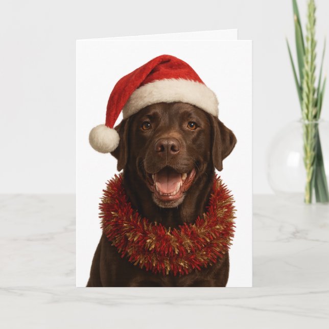 Chocolate Labrador Retriever Dog Christmas card (Front)