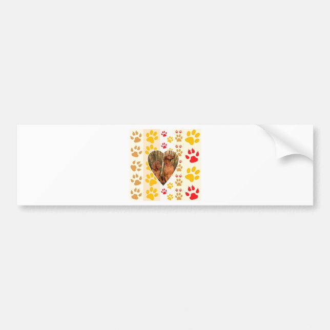 Chocolate Labrador Retriever  Dog Hearts Paw Print Bumper Sticker (Front)