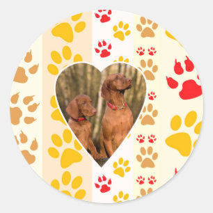 Chocolate Labrador Retriever  Dog Hearts Paw Print Classic Round Sticker