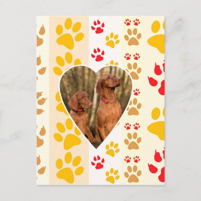 Chocolate Labrador Retriever  Dog Hearts Paw Print Postcard (Front)