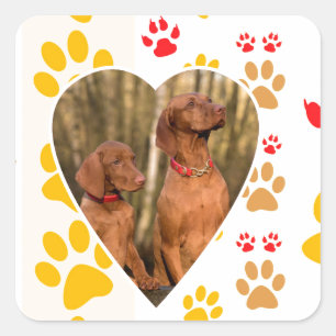 Chocolate Labrador Retriever  Dog Hearts Paw Print Square Sticker
