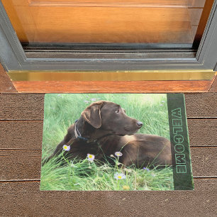 Chocolate Labrador Retriever Dog In Grass Flowers Doormat
