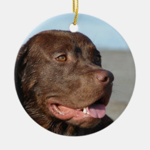 Chocolate Labrador Retriever Dog Ornament