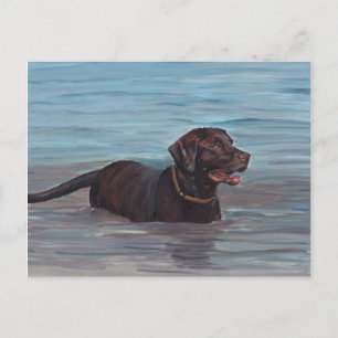 Chocolate Labrador Retriever in Water Note Card