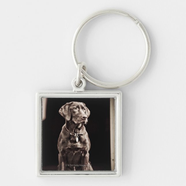 Chocolate Labrador Retriever Key Ring (Front)