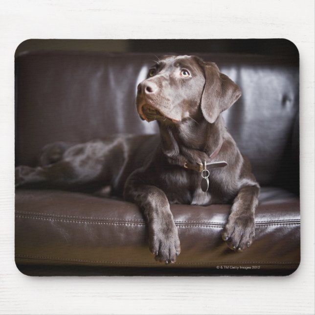 Chocolate Labrador Retriever Mouse Mat (Front)