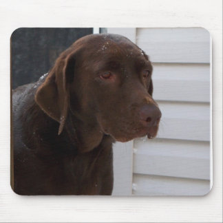 Chocolate Labrador Retriever Mouse Mat