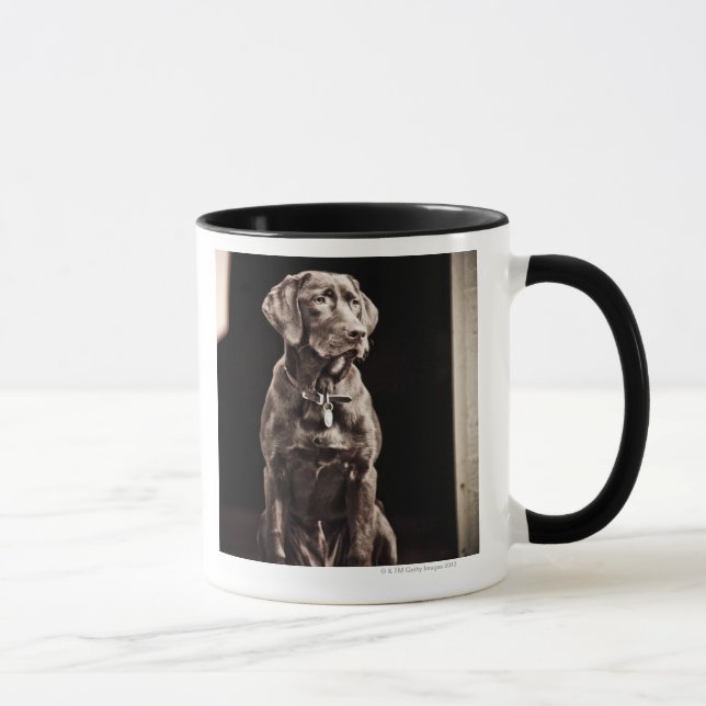 Chocolate Labrador Retriever Mug (Right)