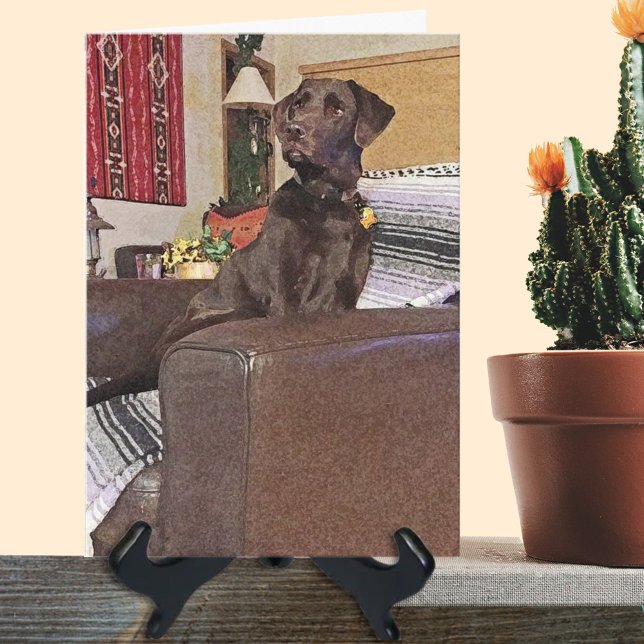 Chocolate Labrador Retriever On Chair Card (Creator Uploaded)