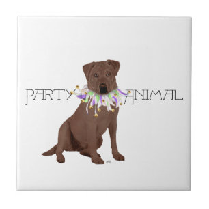 Chocolate Labrador Retriever Party Tile