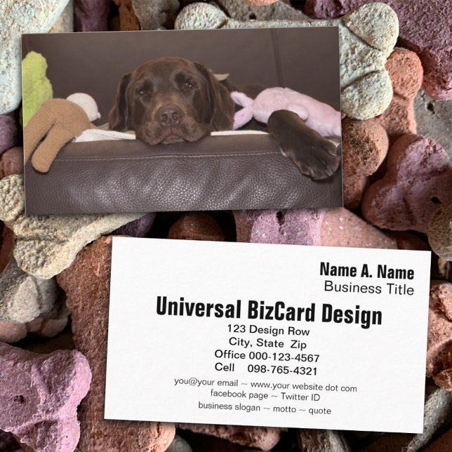 Chocolate Labrador Retriever Photograph Business Card (Creator Uploaded)