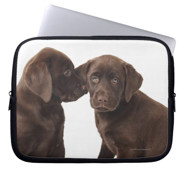 Chocolate Labrador Retriever Puppies Laptop Sleeve (Front)