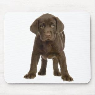 Chocolate Labrador Retriever Puppy Dog Mousepad